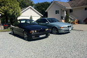 Bimmer family