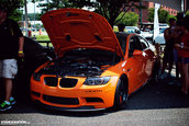 Bimmerfest 2013 - Maryland