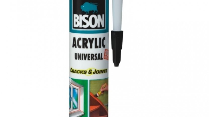 Bison Silicon Acrylic Negru 300ML 426009