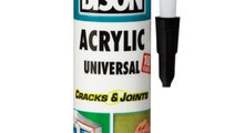 Bison Silicon Acrylic Negru 300ML 426009