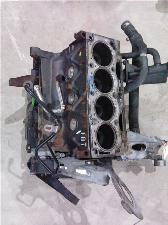 Bloc motor ambelat 1.9 DCI RENAULT Megane 1 an fabr.2003
