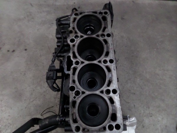 Bloc motor ambielat, BLB, Audi A6 (4F2, C6) 2.0tdi (pr:110747)