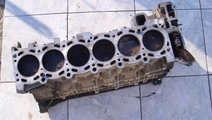 Bloc motor ambielat BMW E60 520i (trebuie segmenta...