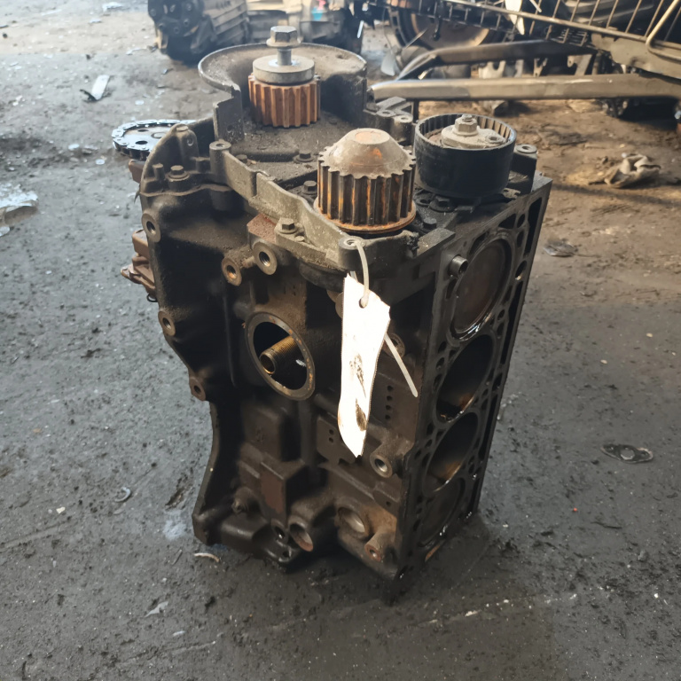 Bloc Motor Ambielat Renault MEGANE 2 2002 - 2010 Benzina 061875F