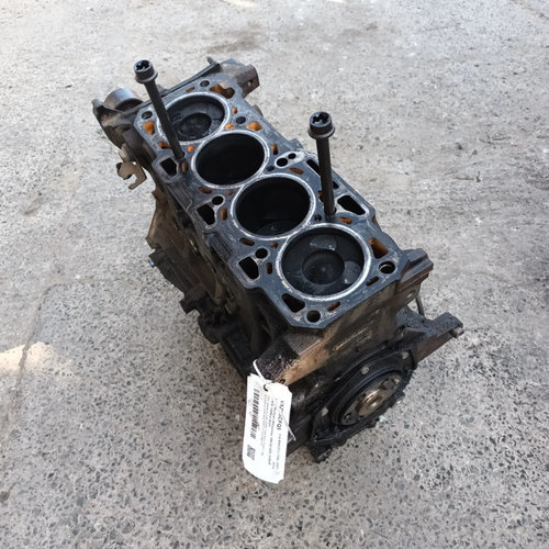 Bloc Motor Fiat Bravo 2 (198) 2007-2014 1.6 D Multijet 198 A3.000 Motorina Ambielat