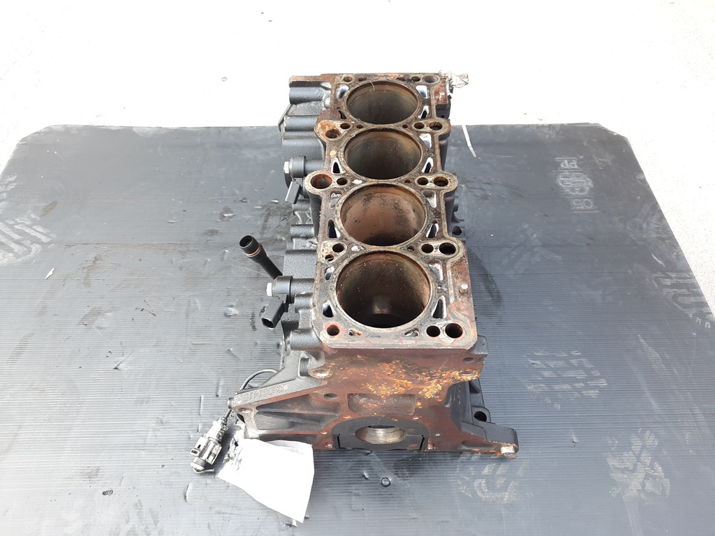 Bloc motor gol BGB, Audi A4 (8EC, B7) [Fabr 2004-2008] 2.0 tfsi (id:402707)