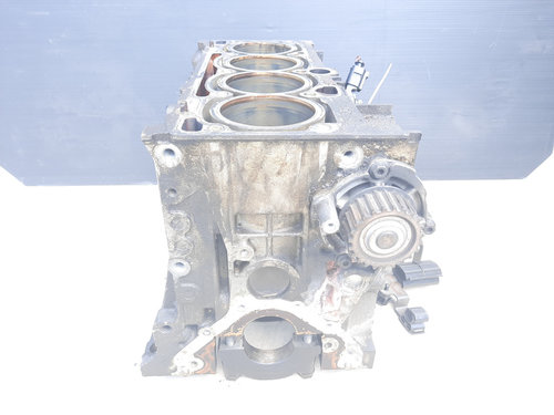 Bloc motor gol, BGU, Audi A3 (8P) [Fabr 2003-2012], 1.6 benz (id:422259)