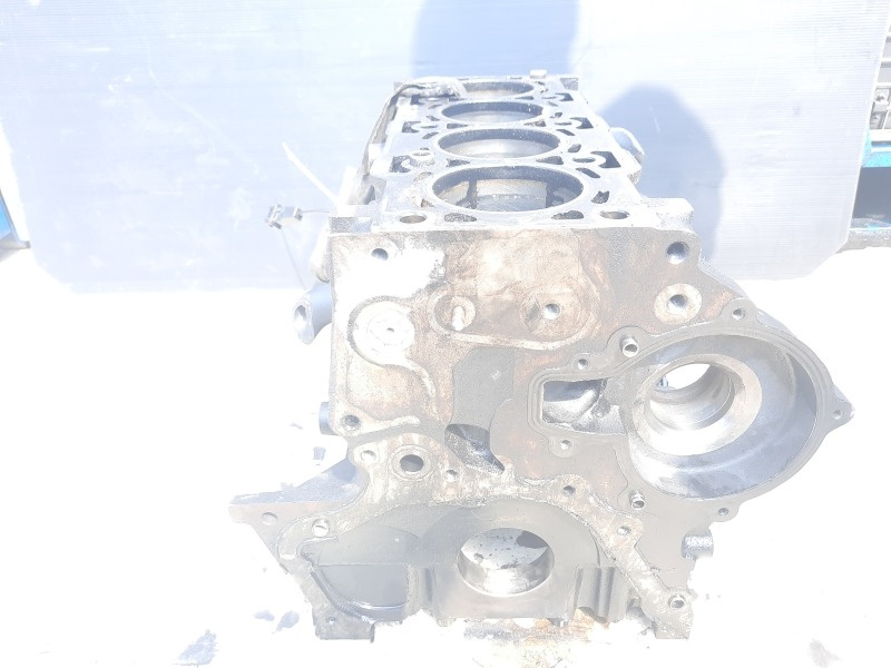 Bloc motor gol, Z20S1, Opel Antara [Fabr 2006-2017], 2.0 cdti (pr:110747)
