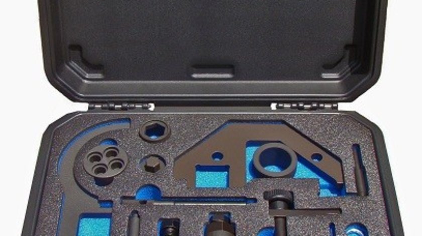 Blocatoare ax came montare distributie BMW X3 (F25) PROFITOOL 0XAT0309