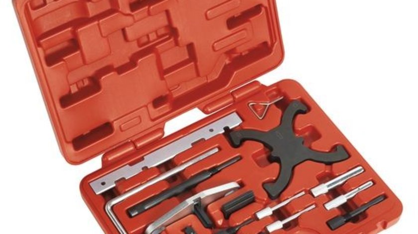 Blocatoare ax came montare distributie FORD FIESTA V (JH_, JD_) SEALEY SEA VSE5042A