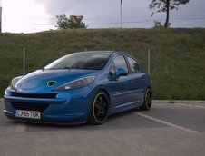 Blue Lion: Peugeot 207 by Tuki