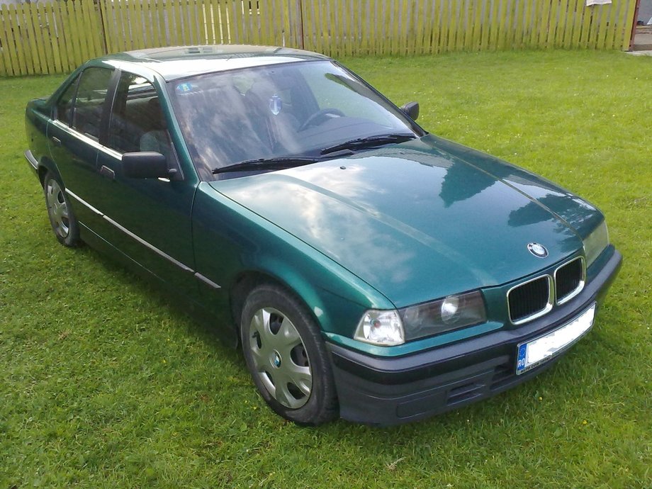 BMW 316 Pisica