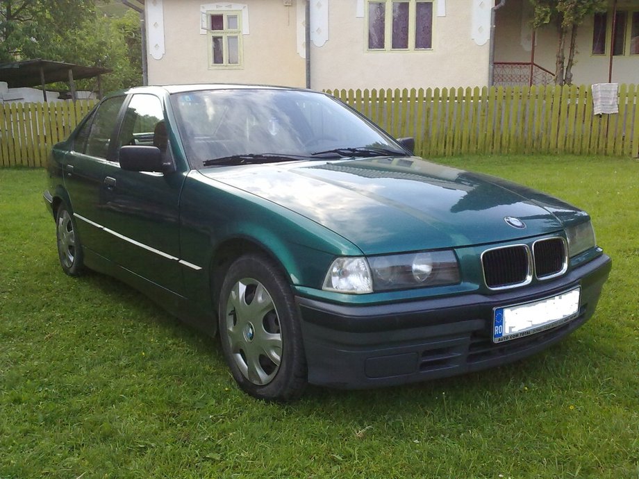 BMW 316 Pisica