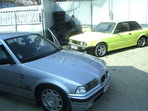 BMW 316 Pisica