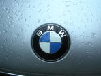 BMW 316 Pisica