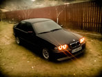 BMW 316 Pisica