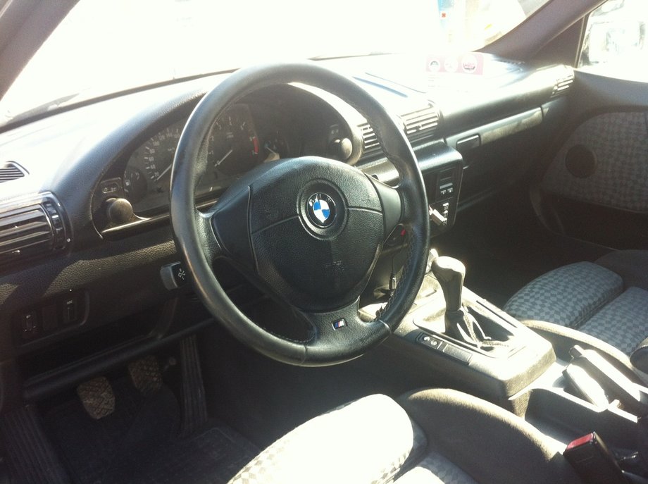 BMW 316 Pisicuta