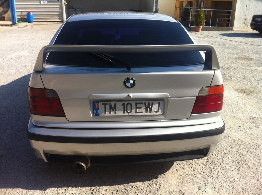 BMW 316 Pisicuta