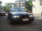 BMW 318 Pisica