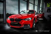 BMW 320i de la Carlex Design