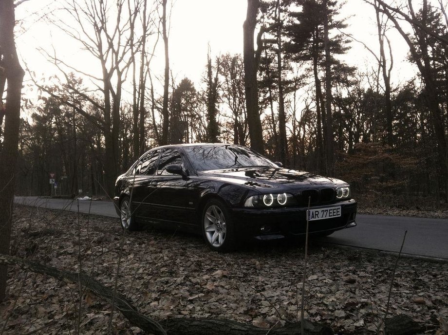 BMW 528 Bruneta