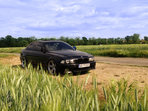 BMW 528 Bruneta