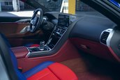 BMW 8 x Jeff Koons