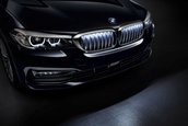 BMW Chrome Iconic Glow Kidney Grilles