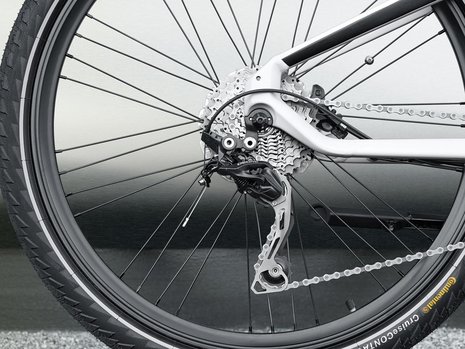 BMW E-bike