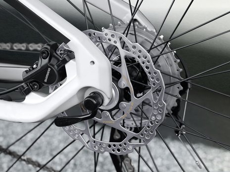 BMW E-bike
