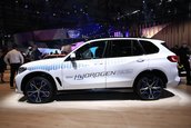 BMW iX5 Hydrogen - Poze reale