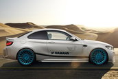 BMW M2 by Hamann