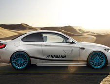 BMW M2 by Hamann