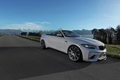 BMW M2 Convertible by Dahler