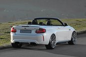 BMW M2 Convertible by Dahler