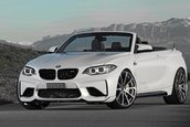 BMW M2 Convertible by Dahler