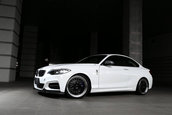 BMW M235i by 3D Design