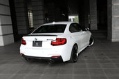 BMW M235i by 3D Design