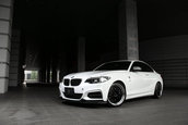 BMW M235i by 3D Design