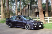 BMW M3 Evo II de vanzare