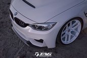 BMW M3 TAG Motorsports