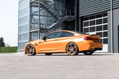 BMW M4 de la G-Power