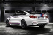 BMW M4 DTM Champion Edition