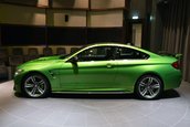 BMW M4 in Java Green