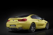 BMW M6 Celebration Edition