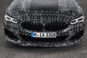 BMW M850i xDrive