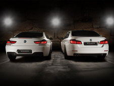 BMW Seria 5 / 6 by Vilner