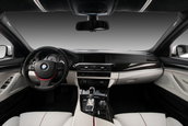 BMW Seria 5 by Vilner