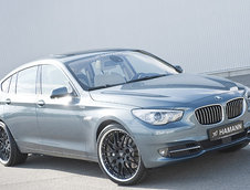 BMW Seria 5 GT by Hamann