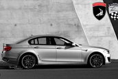 BMW Seria 5 GT by TopCar, Cardi & Lumma Design!